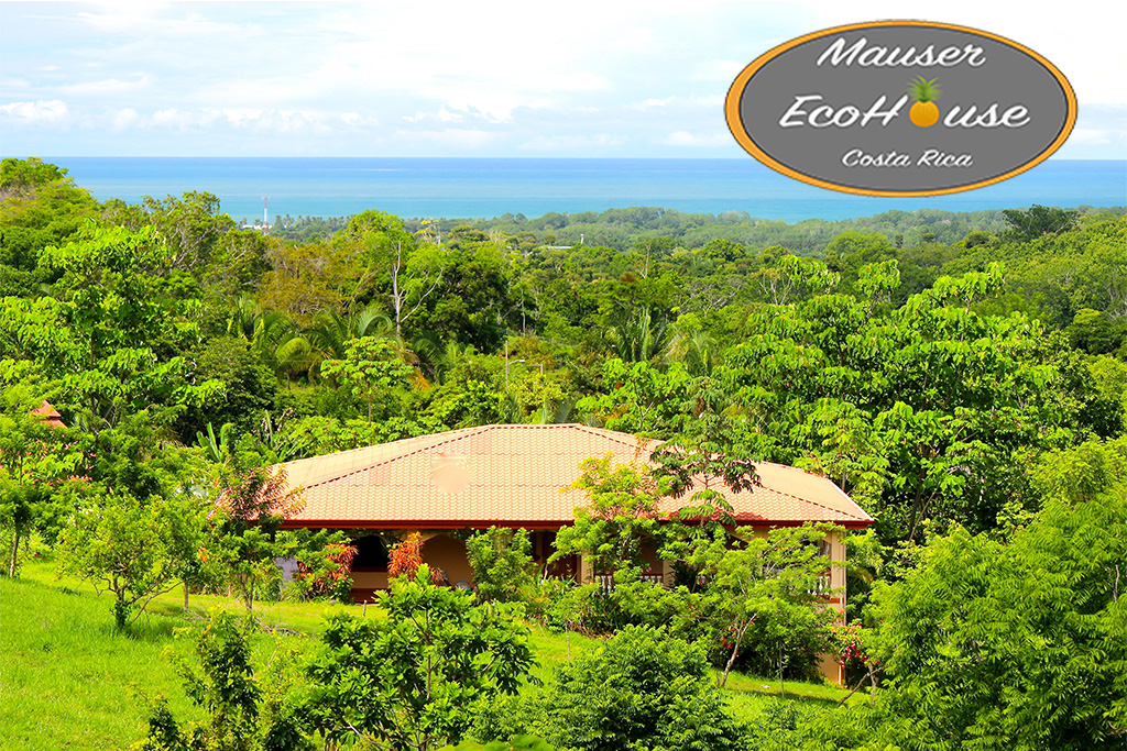 Mauser EcoHouse Artist Residency